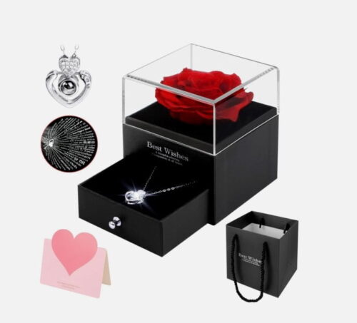 Preserved Red Real Rose with I Love You Necklace